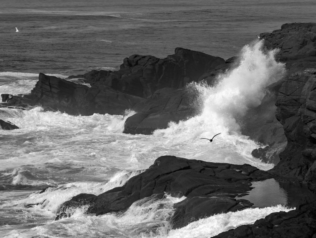 Boiler Bay - Mark Huddleston
